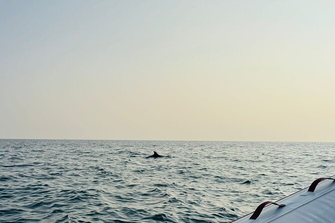 Porec Sunset Shared Cruise on Speedboat with Dolphin Sightseeing - Small group (up to 6): what that means in real life