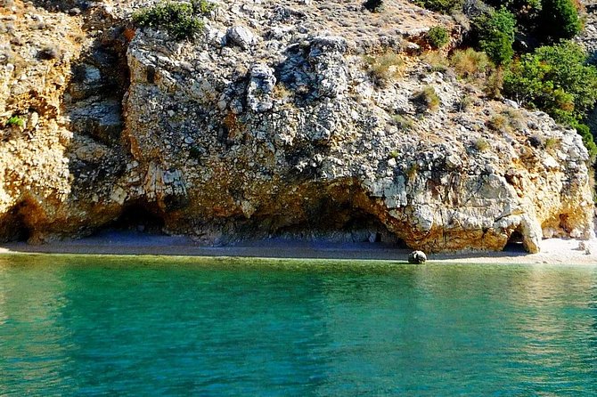 Private 7,5h Plavnik Island & Wild Bays Full-day Boat Trip - Cruising with the captain: stories, spotting, and that onboard comfort