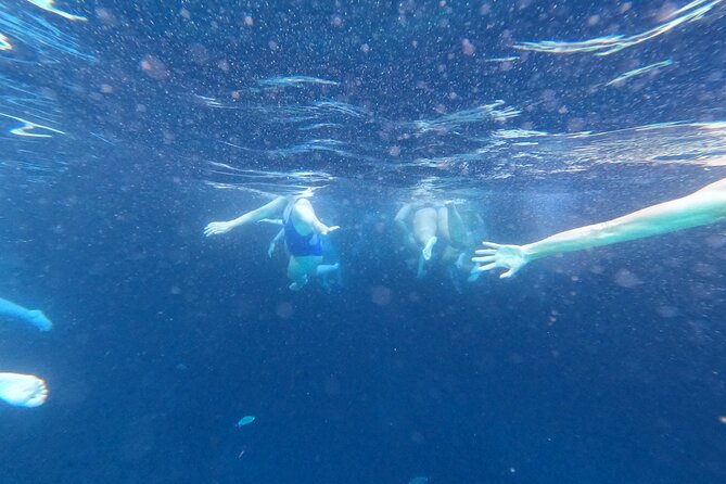Private Blue Cave and Elaphiti Islands Half Day Tour - Meeting point in Lapad: getting on the boat without stress