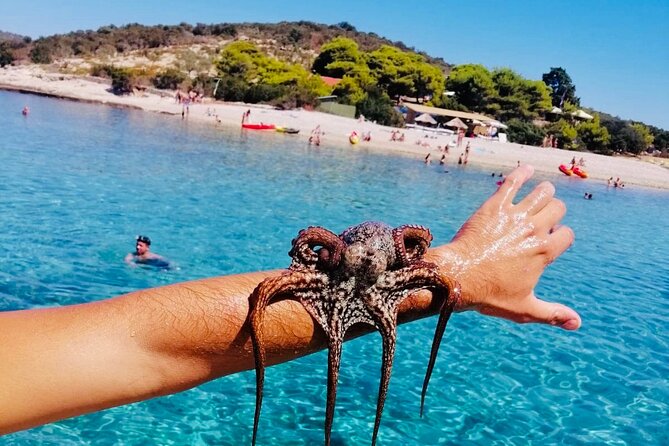 Private Blue Cave Tour from Split, Brač, Trogir and Hvar - Stop 1: Blue Cave and the Real Cost of the Main Event