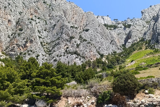 Private Boat Tour To Pakleni Islands and Red Rocks - Red Rocks and Plaža Lučišće: short anchors, big variety
