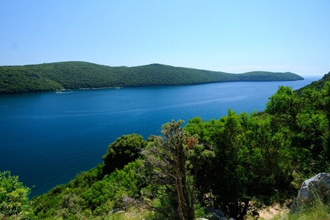 Private Boat Tour with Skipper - The swimming stop: the built-in payoff you shouldn’t overlook