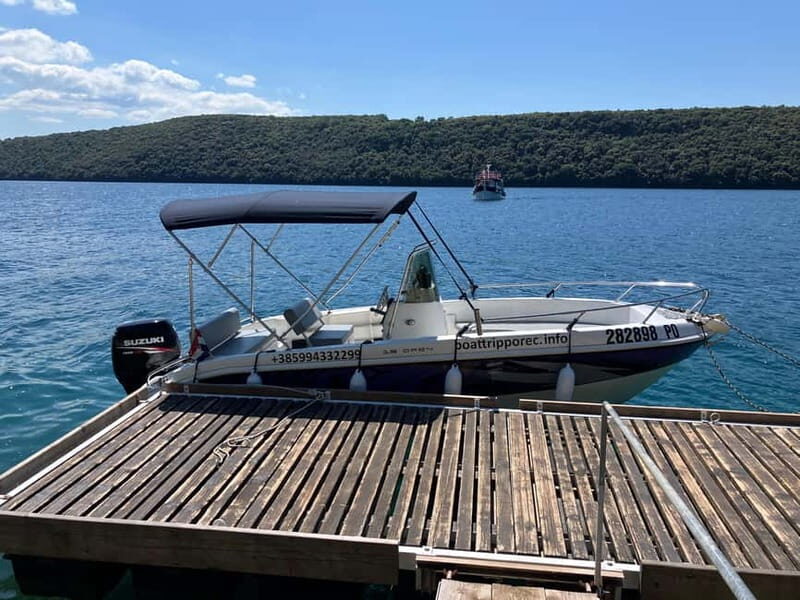 Private boat trips in Porec: dolphin watching, panoramic views - Poreč Port Views and Sveti Nikola Island: What You See Beyond Dolphins