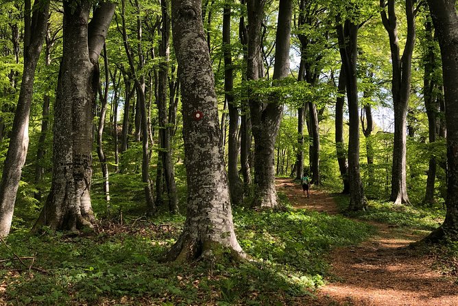 Private eclectic hiking experience of Samobor Hills - Pace, Timing, and What Moderate Fitness Really Means