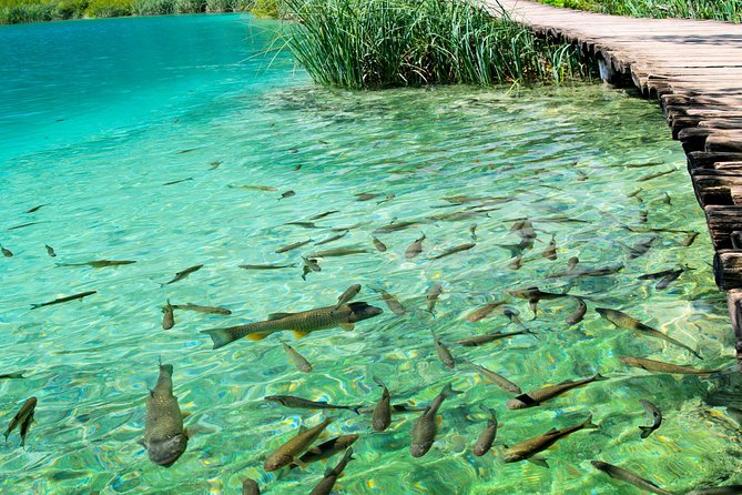 Private experience of Rastoke and Plitvice Lakes from Zagreb - Plitvice Lakes National Park: Upper + Lower Lakes with Boat and Bus