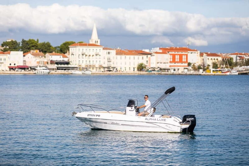 Private Family Dolphin Tour in Poreč - Key things I’d plan for before you go