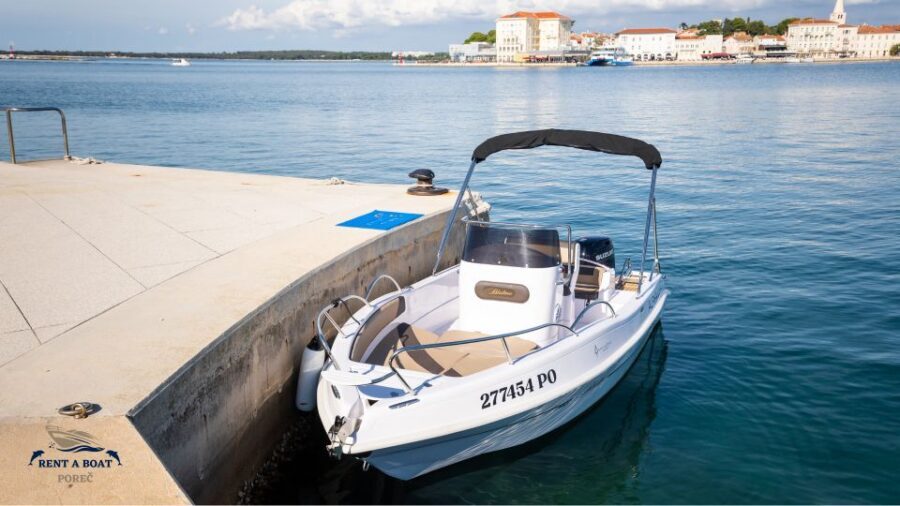Private Family Dolphin Tour in Poreč - Should you book this private family dolphin tour?