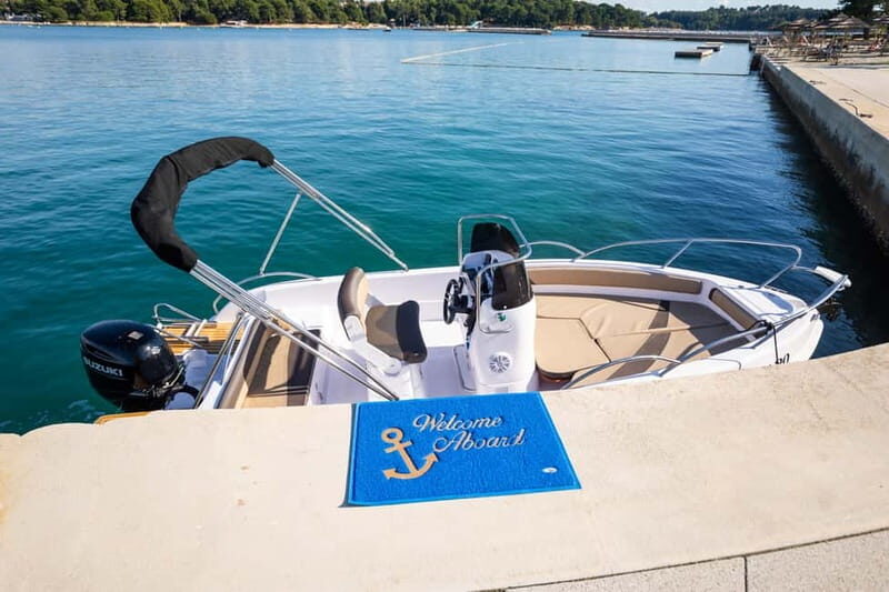 Private Family Dolphin Tour in Poreč - Vrsar panoramic cruising and your music choice