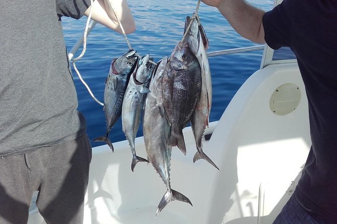Private fishing tour - A Veteran Captain Named Srđan Makes It Less Guesswork