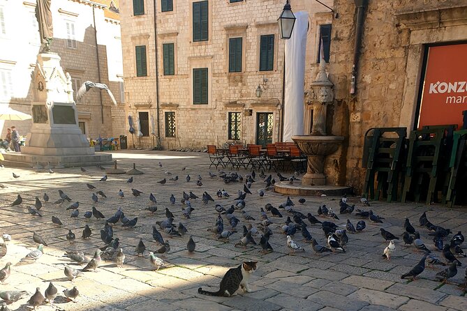 Private Fort Lovrijenac and Dubrovnik City Tour - Stradun and Luža Square: the fast orientation duo