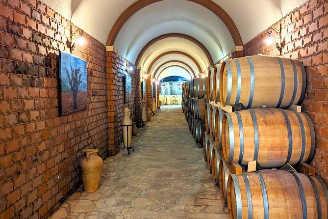 Private Full Day Peljesac Wine Tasting Tour from Dubrovnik - Time planning: how to choose the right start time from Dubrovnik