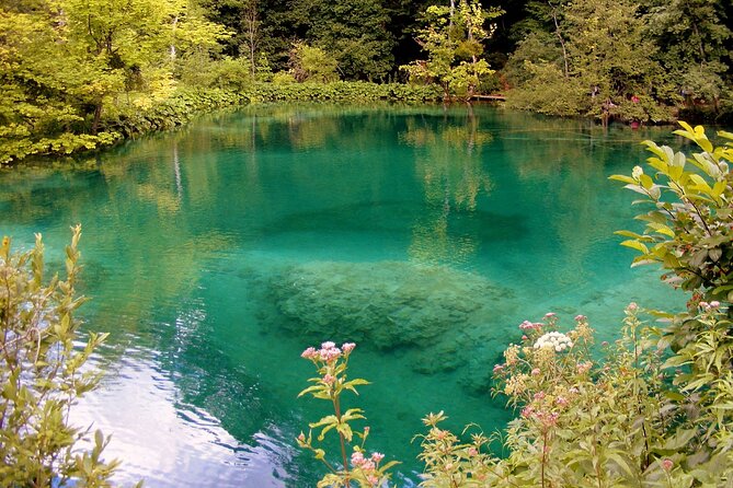 Private Full-Day Tour in Plitvice Lakes National Park from Zadar - The electric train to the exit: legs saved for Zadar