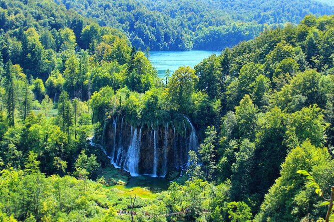Private Full-Day Tour in Plitvice Lakes National Park from Zadar - Price and value: what $698.25 per group really buys
