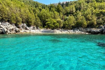 Private Full-Day Tour of Elaphiti Islands by Speedboat - Šipan and Luka Šipanska: island life and real lunch time
