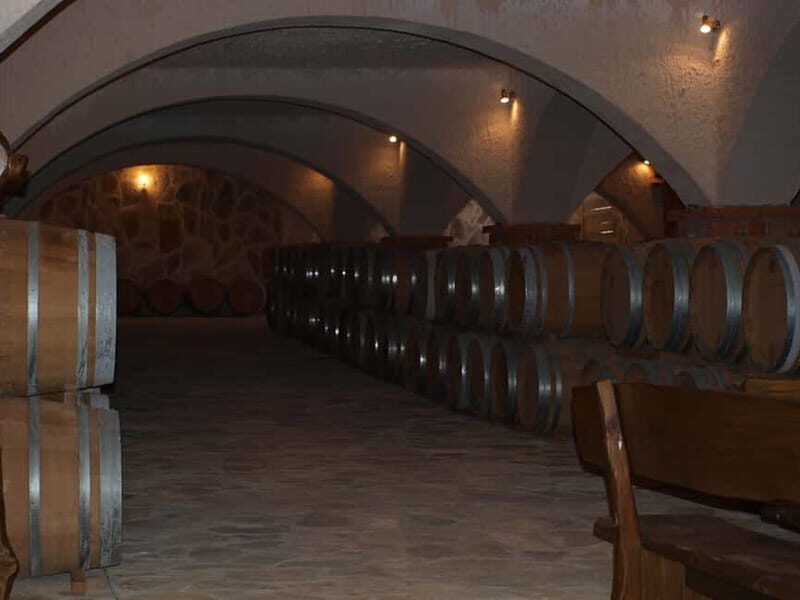 Private Full-Day Wine Tour from Dubrovnik to Peljesac - The Heart of the Tour: Three Family Wineries and Real Cellars