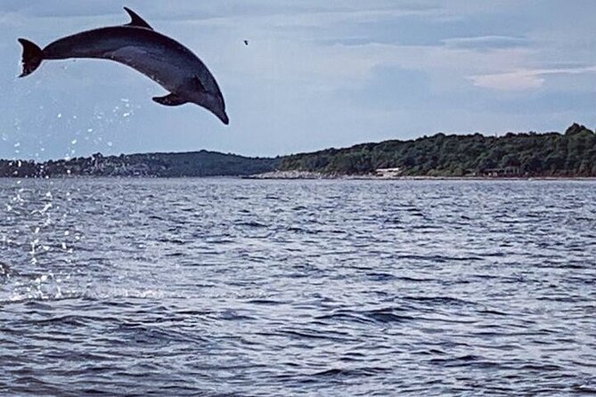 Private Guided Sunset Dolphin Watching in Adriatic Sea - Skippers with local knowledge: Filipe, Dino, and Peter