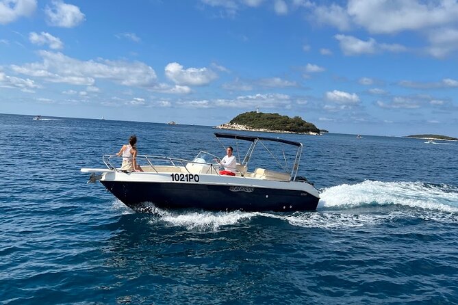 Private Guided Sunset Dolphin Watching in Adriatic Sea - Value math: what you pay, and when it’s a smart splurge
