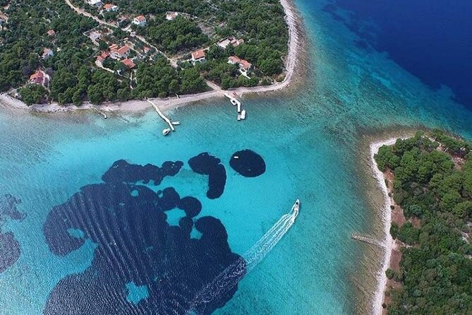 Private Half day Blue Lagoon Tour - Who this private Blue Lagoon half-day is best for