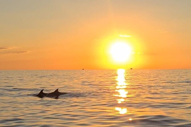 Private Half-Day Boat Excursion in Pula - Brijuni National Park first swim: snorkeling time you can actually enjoy
