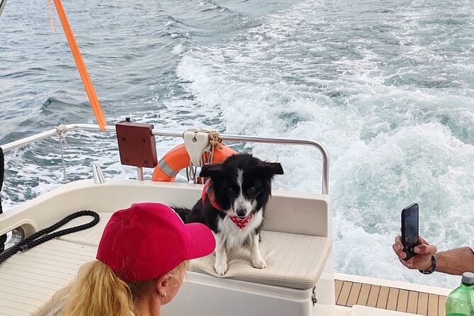 Private Half-Day Boat Excursion in Pula - How the captain and crew handle conditions (and why it’s worth caring)