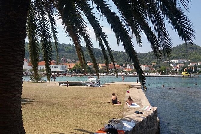 Private Half-Day Boat Tour to nearby Islands in Zadar with Drinks - Price and value: $375.11 per group can be great or just okay