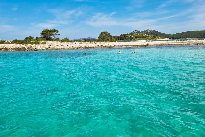 Private Half Day Tour | Food & Drinks | Vrgada - Dolphins: a nature moment worth timing your day around