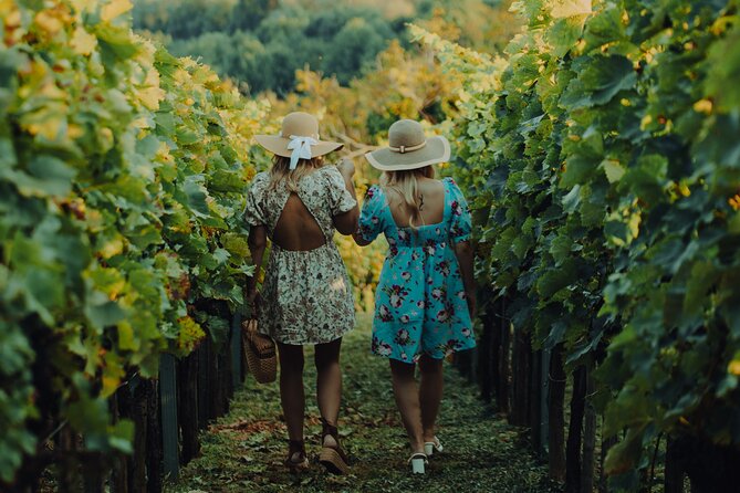 Private hedonistic food and wine experience from Zagreb - Key highlights worth your attention