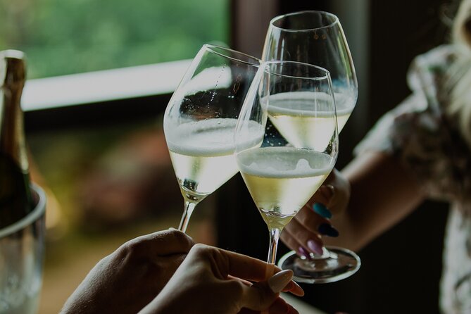 Private hedonistic food and wine experience from Zagreb - The winery in Plesivica: 9 wines, paired charcuterie, and a winemaker’s voice