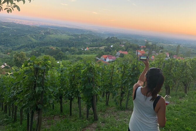 Private hedonistic food and wine experience from Zagreb - Return to Zagreb: early evening means you avoid the late-day slog