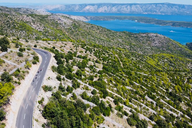 Private Hvar Island Bike Tour and Wine Tasting - Who should book this Hvar bike and wine tour?