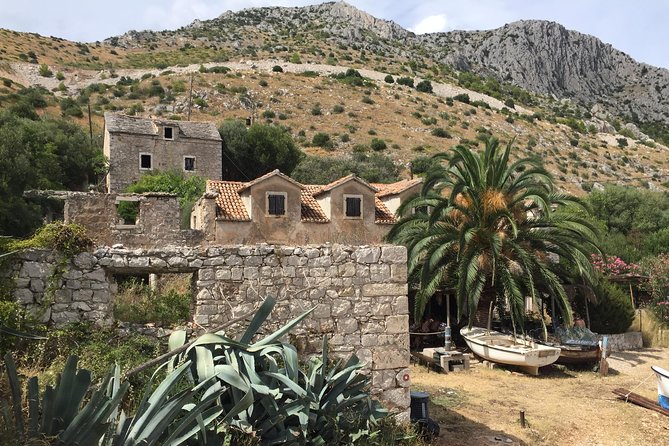 Private Hvar Island Tour and Olive Oil Tasting - Getting off the Hvar port loop (and why that matters)