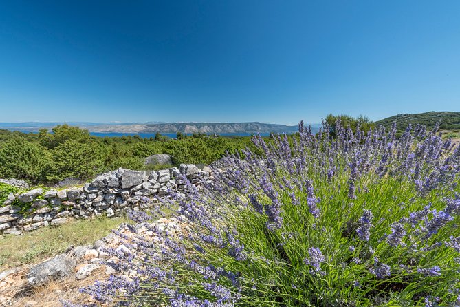 Private Hvar Island Tour and Olive Oil Tasting - “Old road” inland scenes: Brusje, Velo Grablje, and the lavender air