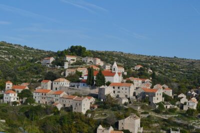 Private Hvar Island Tour and Olive Oil Tasting - The olive oil stop near Svirče: what you taste and what you learn