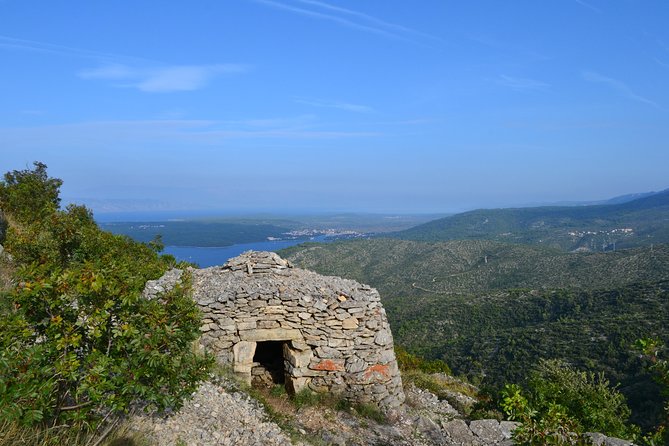 Private Hvar Island Tour and Olive Oil Tasting - Tour comfort, timing, and how a private format changes the day