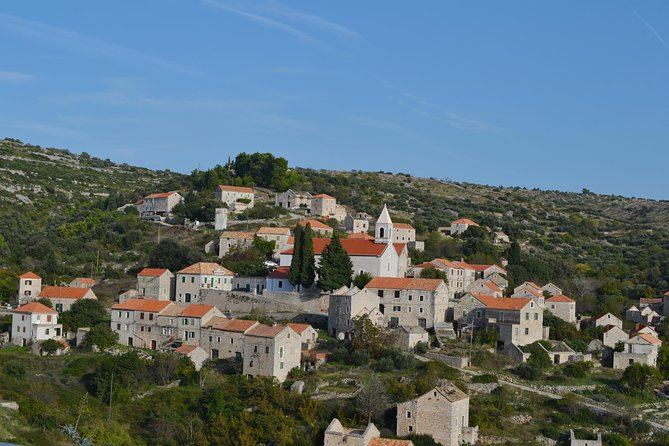 Private Hvar Island Tour and Olive Oil Tasting - The olive oil stop near Svirče: what you taste and what you learn