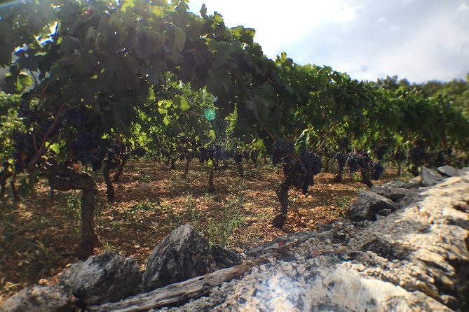 Private Hvar Wine Tasting Tour - How the Hvar island/old-town time fits in