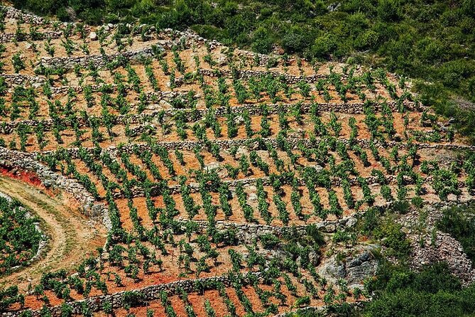 Private Korčula & Ston: Island Charms, Pelješac Delights & Wine - Price and what you really get for $814.63 per group