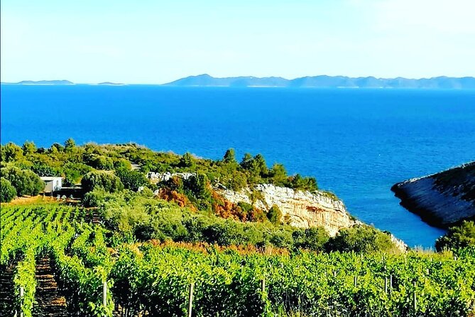 Private Korcula wine tour and tasting - Timing Tips: Make It an Afternoon Win (Not a Rush)