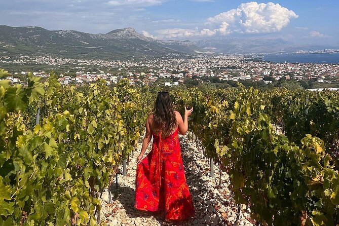 Private Krka Waterfalls Tour from Split – Fast Track Entry - Perišin Winery Option: Family Cellar Tasting with Homemade Dalmatian Plates