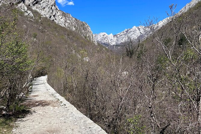 Private Paklenica Hiking Tour from Zadar up to 8 people - Zadar to Paklenica: the van ride that sets the tone