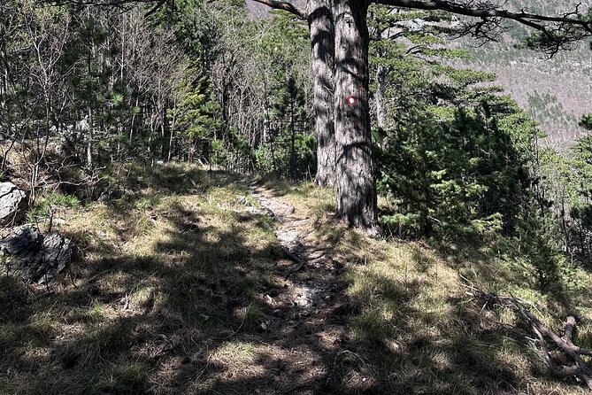 Private Paklenica Hiking Tour from Zadar up to 8 people - Timing: why 5 to 8 hours feels realistic