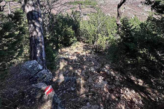 Private Paklenica Hiking Tour from Zadar up to 8 people - Price and logistics: what you actually pay for