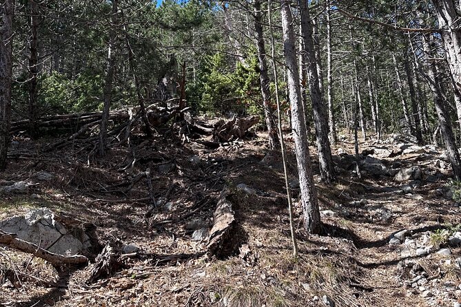 Private Paklenica Hiking Tour from Zadar up to 8 people - Who this Paklenica hike suits best