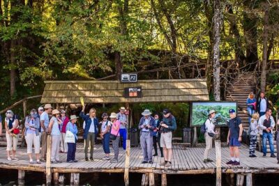 Private Plitvice Lakes - a Day In Magicland From Split - Your ride from Split: comfort, flexibility, and the guide factor