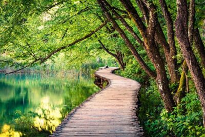 Private Plitvice Lakes Tour from Split - Plitvice Lakes National Park: 4 hours to explore at your pace