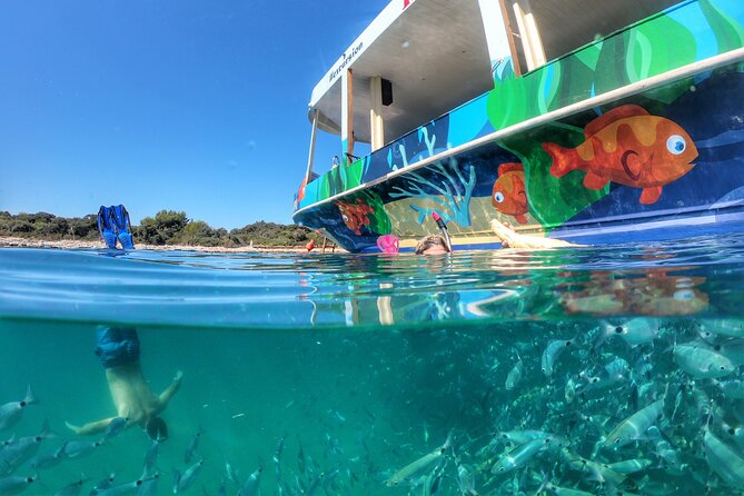 Private Rio Boat Excursion - per group - Key Points to Know Before You Go