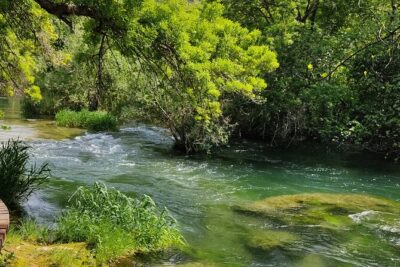 Private Roundtrip Transfer from Zadar to Krka National Park - Pickup logistics at the cruise port: fast, clear, and low-stress