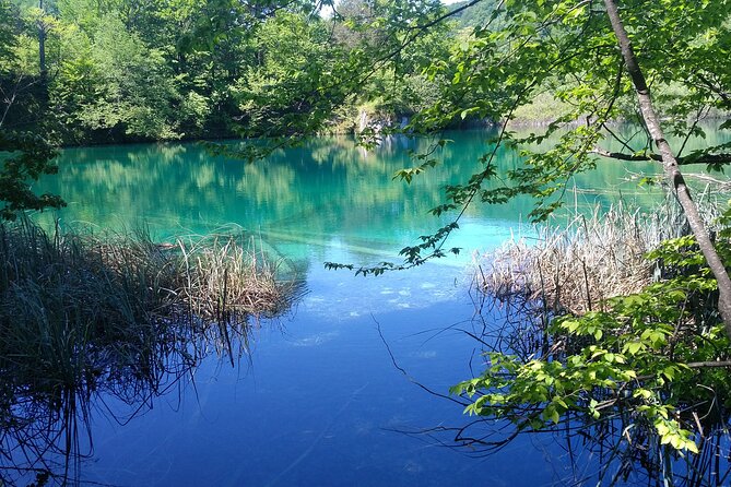 Private Roundtrip Transfer from Zadar to Krka National Park - The Zadar finale: returning with memories, not headaches