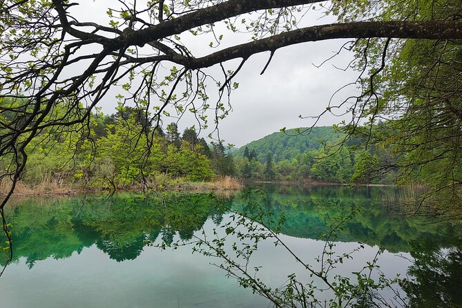 Private Roundtrip Transfer from Zadar to Plitvice National Park - Pickup in Zadar: the 8:00 am start, and where to find the sign
