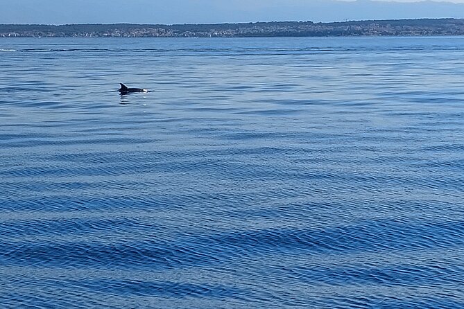 Private Sailing Day Tour - Back to Sailing: Main Zadar Channel Leg and Hands-on Sail Time
